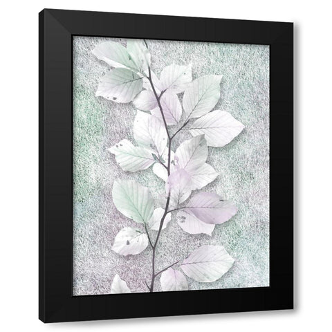 Spring Beauty 1 Black Modern Wood Framed Art Print with Double Matting by Prime, Marcus