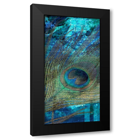 Metropolitan Peacock 2 Black Modern Wood Framed Art Print with Double Matting by Prime, Marcus