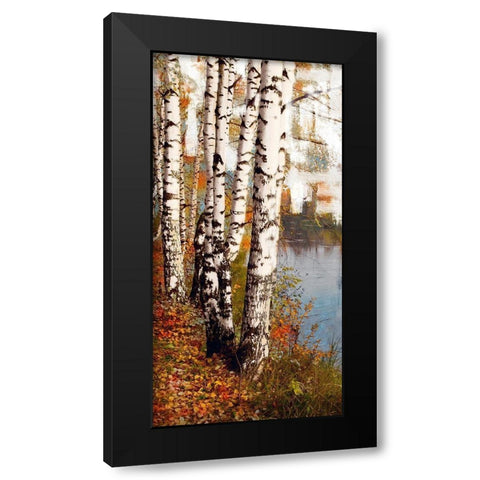 Summer Birch 1 Black Modern Wood Framed Art Print with Double Matting by Prime, Marcus