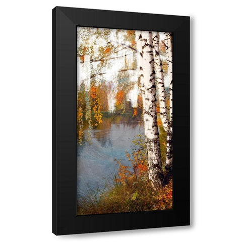 Summer Birch 2 Black Modern Wood Framed Art Print by Prime, Marcus