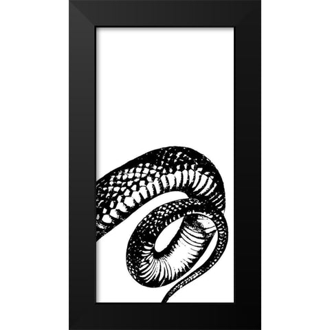 Snake Bite 3 Black Modern Wood Framed Art Print by Prime, Marcus