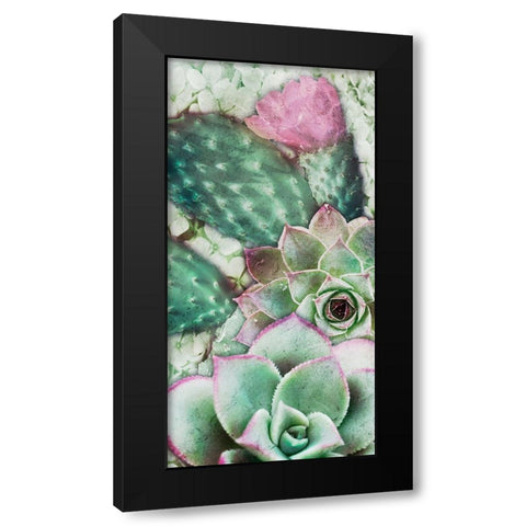 Springtime Succulents 3 Black Modern Wood Framed Art Print with Double Matting by Prime, Marcus