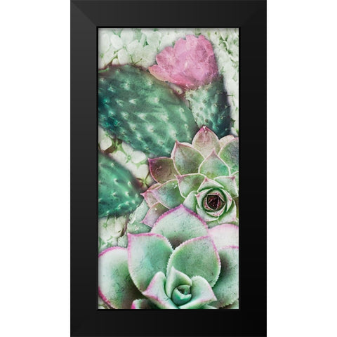 Springtime Succulents 3 Black Modern Wood Framed Art Print by Prime, Marcus