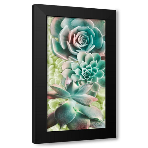 Adored Succulents 6 Black Modern Wood Framed Art Print by Prime, Marcus