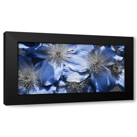 Indigo Wild 1 Black Modern Wood Framed Art Print with Double Matting by Prime, Marcus