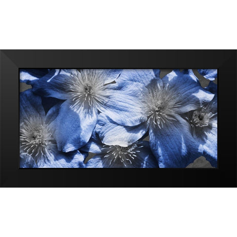Indigo Wild 1 Black Modern Wood Framed Art Print by Prime, Marcus