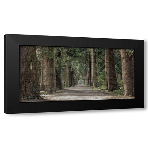 Wilderness Stroll Black Modern Wood Framed Art Print by Prime, Marcus