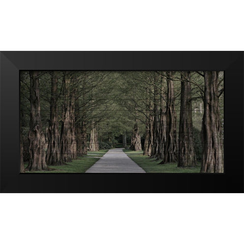 Freedom Road Black Modern Wood Framed Art Print by Prime, Marcus