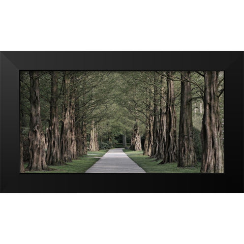 Freedom Road 2 Black Modern Wood Framed Art Print by Prime, Marcus
