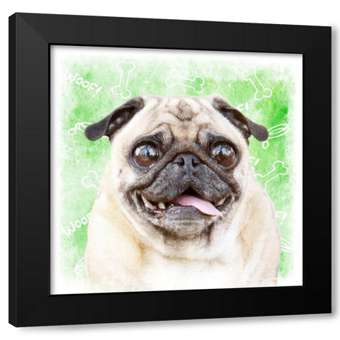 Woof Woof 3 Black Modern Wood Framed Art Print with Double Matting by Prime, Marcus