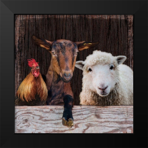 Farm Life Black Modern Wood Framed Art Print by Prime, Marcus