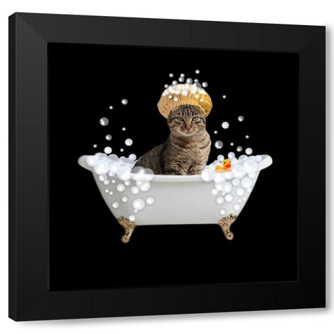 Fun Kitty Bath 4 Black Modern Wood Framed Art Print by Prime, Marcus