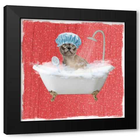 Sparkling Kitty 2 Black Modern Wood Framed Art Print with Double Matting by Prime, Marcus