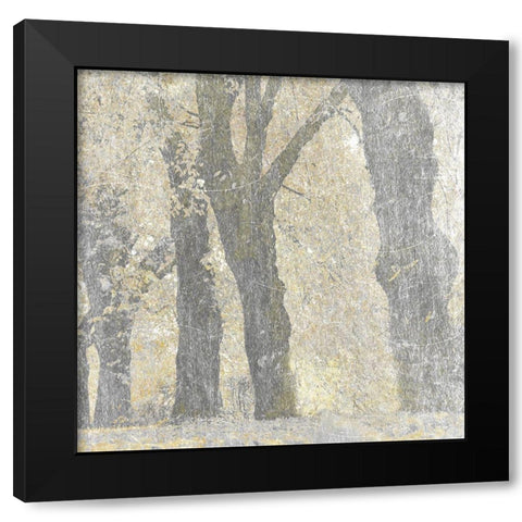 Lost Woods 1 Black Modern Wood Framed Art Print by Prime, Marcus