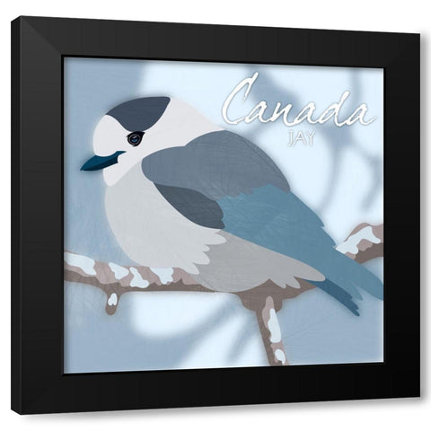 Canada Jay Black Modern Wood Framed Art Print with Double Matting by Prime, Marcus