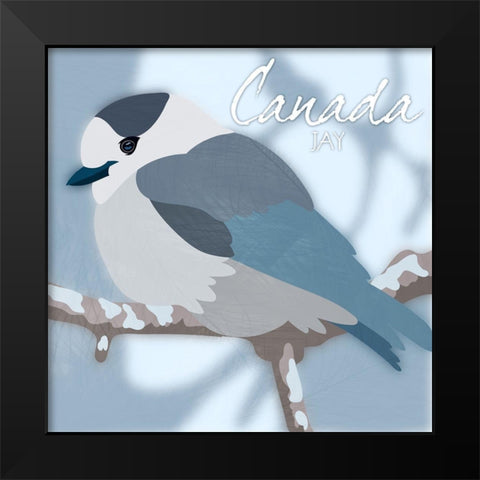 Canada Jay Black Modern Wood Framed Art Print by Prime, Marcus