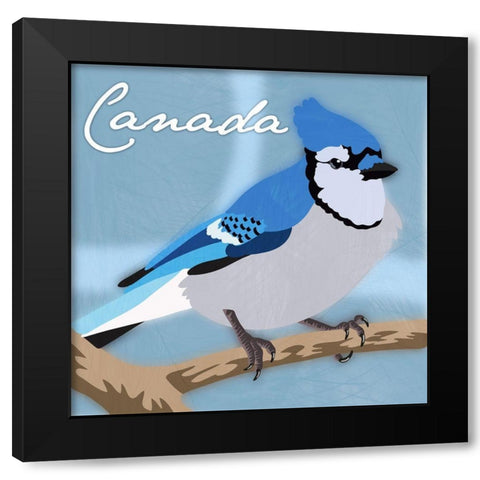 Canada Blue Jay Black Modern Wood Framed Art Print by Prime, Marcus