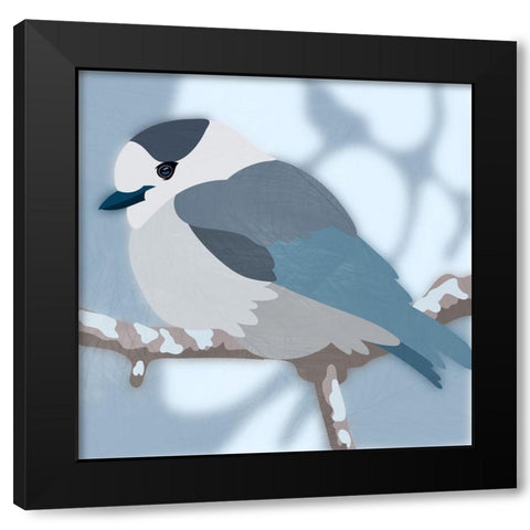 Majestic Jay Black Modern Wood Framed Art Print with Double Matting by Prime, Marcus