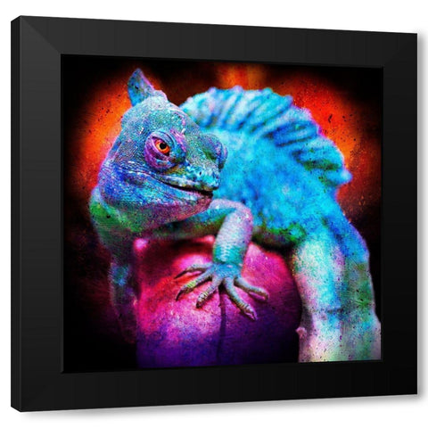 Party Gecko Black Modern Wood Framed Art Print by Prime, Marcus