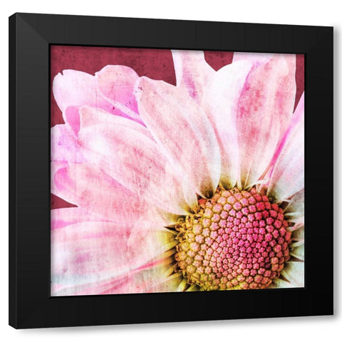 Restful Bloom Black Modern Wood Framed Art Print by Prime, Marcus