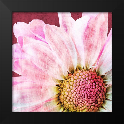 Restful Bloom Black Modern Wood Framed Art Print by Prime, Marcus