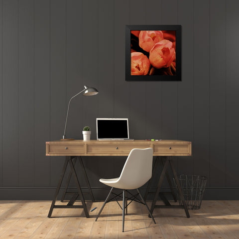 Floral Spice Black Modern Wood Framed Art Print by Prime, Marcus