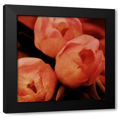 Floral Spice Black Modern Wood Framed Art Print by Prime, Marcus