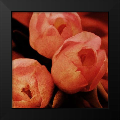 Floral Spice Black Modern Wood Framed Art Print by Prime, Marcus