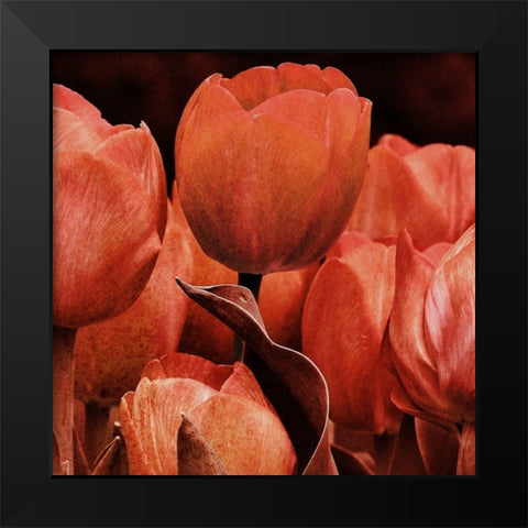 Floral Spice 2 Black Modern Wood Framed Art Print by Prime, Marcus