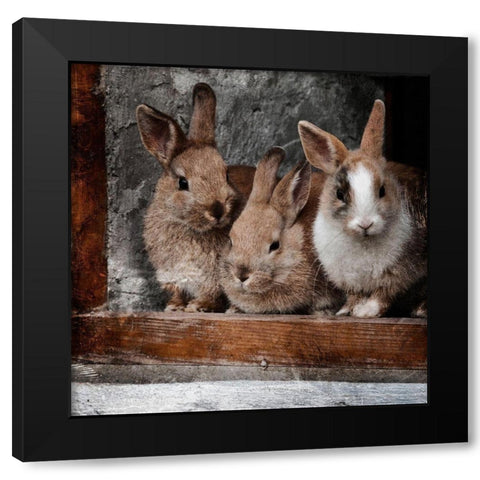 Three Buddies Black Modern Wood Framed Art Print by Prime, Marcus