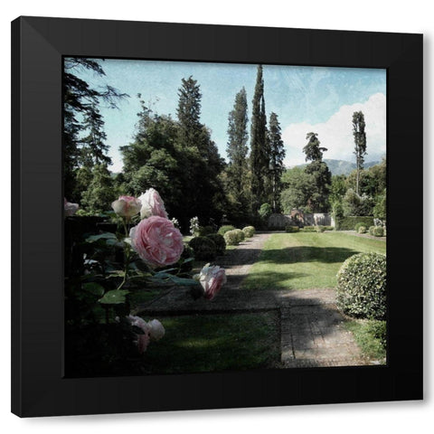 Botanical Desires Black Modern Wood Framed Art Print by Prime, Marcus