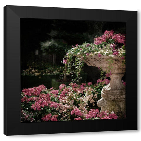 Botanical Entry Black Modern Wood Framed Art Print by Prime, Marcus