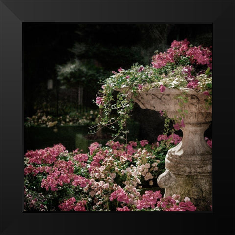 Botanical Entry Black Modern Wood Framed Art Print by Prime, Marcus