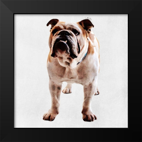 Yearning Bulldog Black Modern Wood Framed Art Print by Prime, Marcus