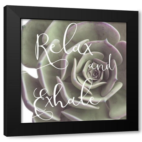 Exhaling Succulent 1 Black Modern Wood Framed Art Print by Prime, Marcus