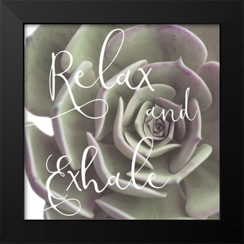 Exhaling Succulent 1 Black Modern Wood Framed Art Print by Prime, Marcus
