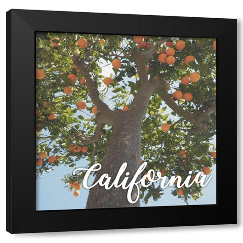 California Orange 1 Black Modern Wood Framed Art Print by Prime, Marcus