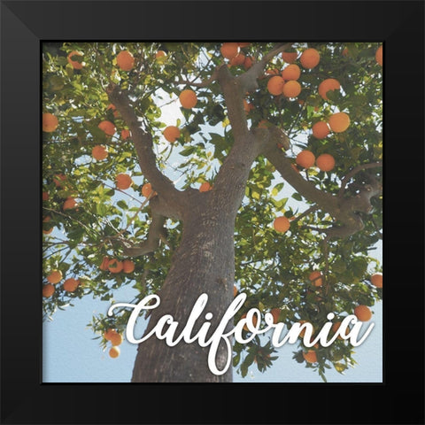 California Orange 1 Black Modern Wood Framed Art Print by Prime, Marcus