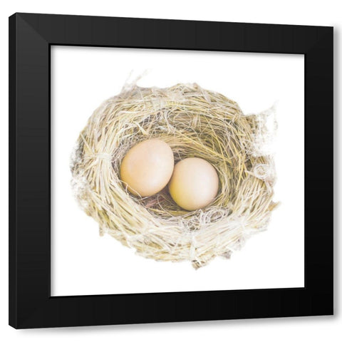 Pleasant Nesting Black Modern Wood Framed Art Print by Prime, Marcus