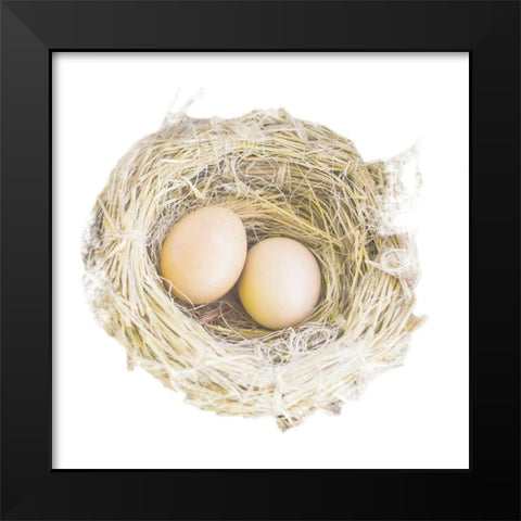 Pleasant Nesting Black Modern Wood Framed Art Print by Prime, Marcus