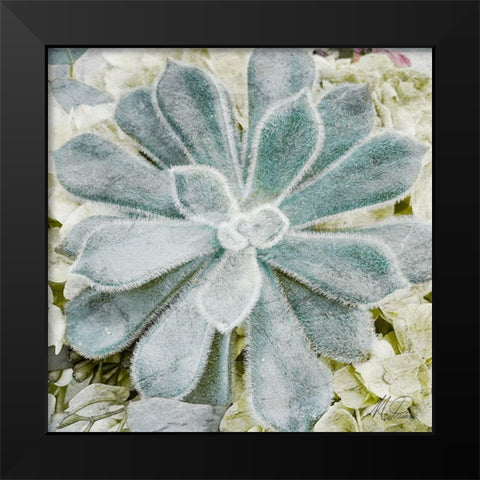 Adored Succulents Black Modern Wood Framed Art Print by Prime, Marcus