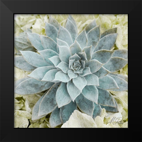 Adored Succulents 2 Black Modern Wood Framed Art Print by Prime, Marcus