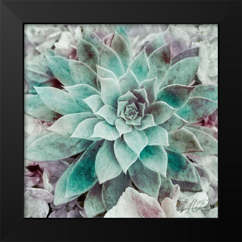 Springtime Succulents 2 Black Modern Wood Framed Art Print by Prime, Marcus
