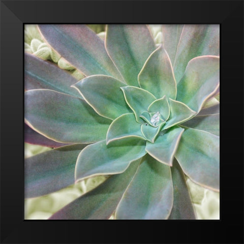 Springtime Joys 1 Black Modern Wood Framed Art Print by Prime, Marcus