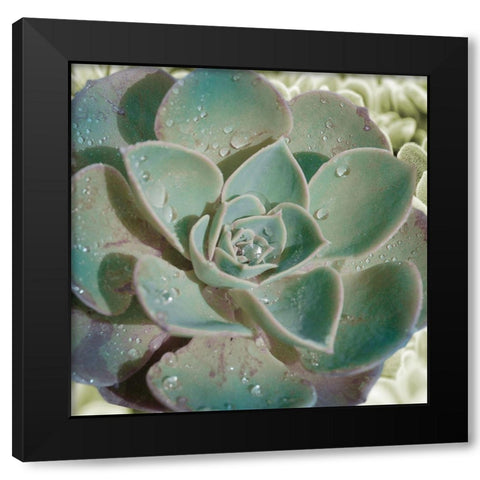 Springtime Joys 2 Black Modern Wood Framed Art Print with Double Matting by Prime, Marcus