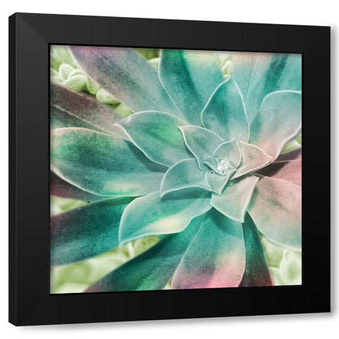 Springtime Magnifique 1 Black Modern Wood Framed Art Print by Prime, Marcus