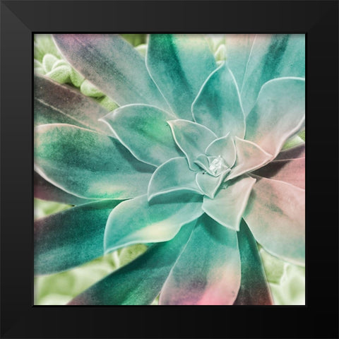 Springtime Magnifique 1 Black Modern Wood Framed Art Print by Prime, Marcus