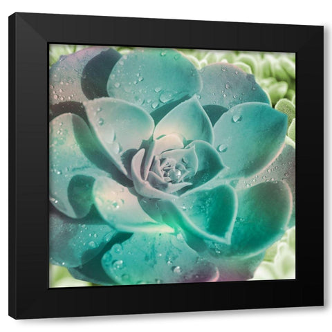 Springtime Magnifique 2 Black Modern Wood Framed Art Print with Double Matting by Prime, Marcus