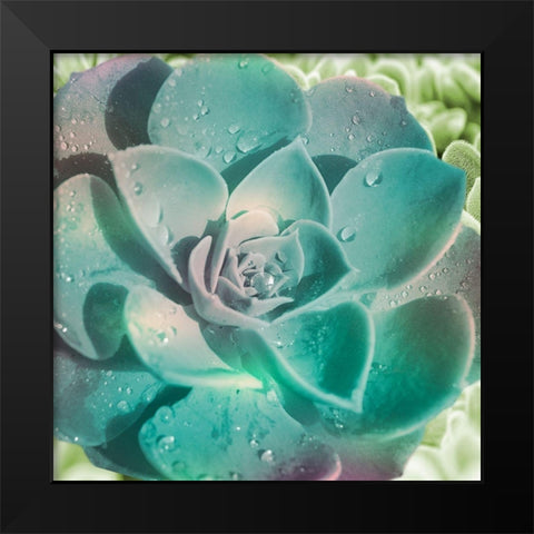 Springtime Magnifique 2 Black Modern Wood Framed Art Print by Prime, Marcus