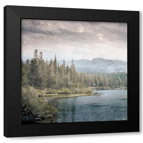 Wilderness Wonders 3 Black Modern Wood Framed Art Print with Double Matting by Prime, Marcus